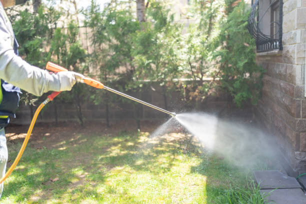 Best Wasp Removal Services  in Affton, MO