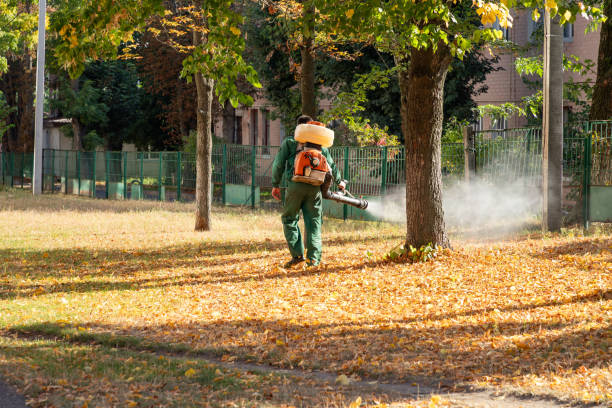 Best Mosquito Control Services  in Affton, MO