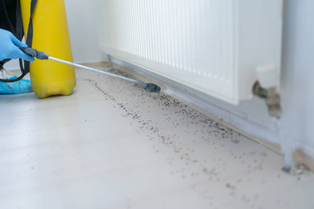 Best Wildlife Control Services  in Affton, MO